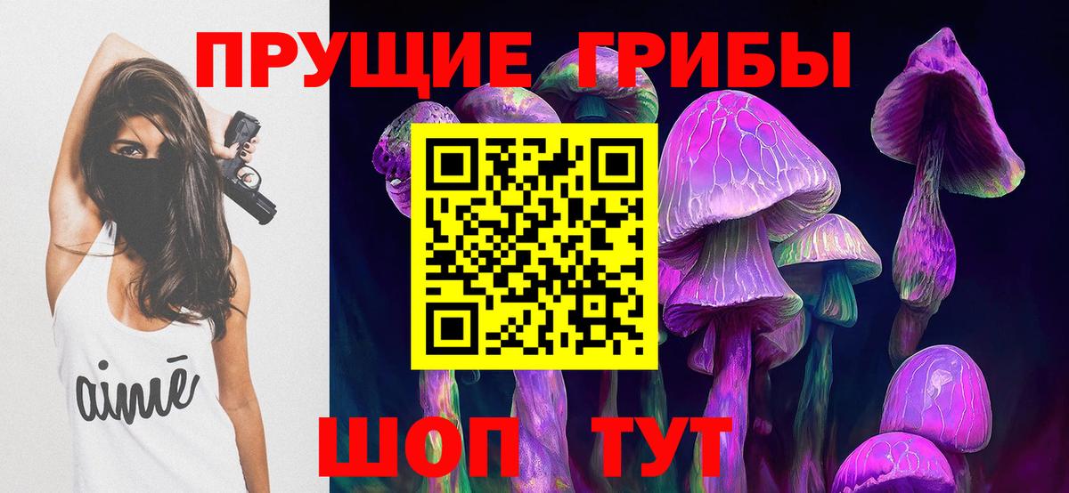 Галлюциногенные грибы MAGIC MUSHROOMS  Вход с VPN  закладки  Новокуйбышевск 