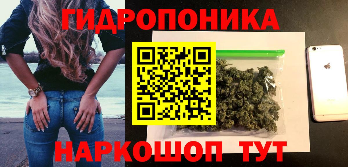 Бошки Шишки VHQ  Вход с VPN  Бошки марихуана семена  Канабис OG Kush  Конопля AK-47  Новокуйбышевск 
